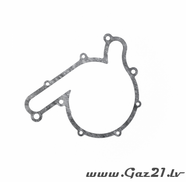 Water pump gasket