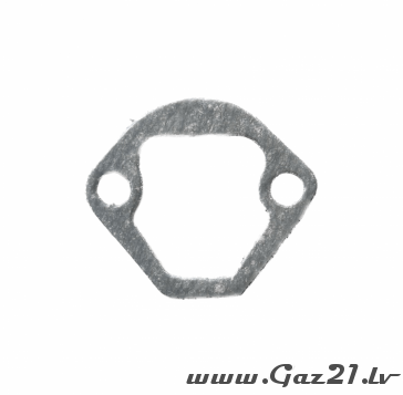 Fuel pump gasket