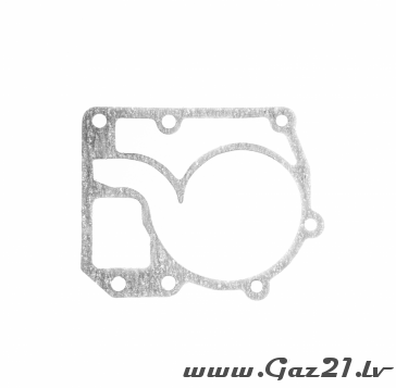 Water pump gasket