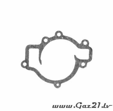 Water pump gasket